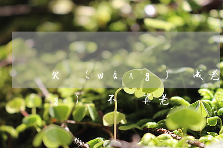 欠網(wǎng)貸成老賴嗎(欠網(wǎng)貸不還算老賴嗎)