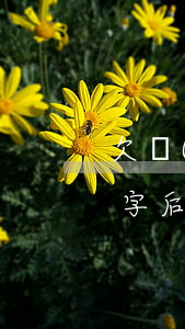 欠網(wǎng)貸戶口可以改名字嗎(改名字后網(wǎng)貸還不了怎么辦)