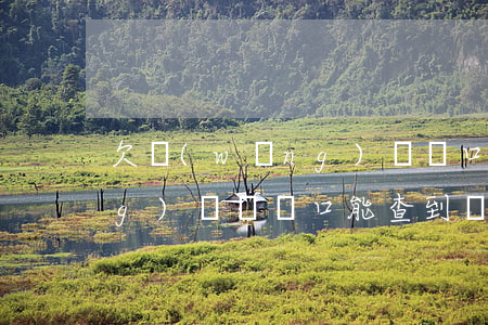 欠網(wǎng)貸戶口遷移(欠網(wǎng)貸遷戶口能查到嗎)