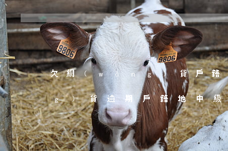 欠網(wǎng)貸戶籍地開庭(網(wǎng)貸逾期戶籍地中級人民法院)
