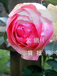 欠網(wǎng)貸房子可以抵押貸款嗎(房貸抵押中可以網(wǎng)貸嗎)