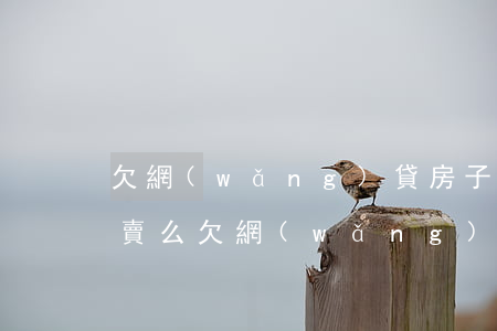 欠網(wǎng)貸房子會(huì)被拍賣么(欠網(wǎng)貸名下的房子會(huì)被拍賣嗎)