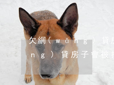 欠網(wǎng)貸房子被拍賣(欠網(wǎng)貸房子會被拍賣嗎)