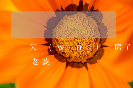 欠網(wǎng)貸房子過(guò)戶給老婆