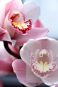 欠網(wǎng)貸房產(chǎn)轉(zhuǎn)移給父母(子女欠網(wǎng)貸父母財產(chǎn)影響嗎)