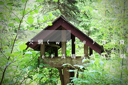 欠網(wǎng)貸房貸會要求提前結(jié)清嗎(房貸前把網(wǎng)貸結(jié)清可以嗎)