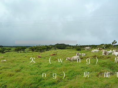 欠網(wǎng)貸房貸能下來嗎(欠網(wǎng)貸房貸能下來嗎)