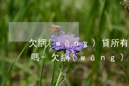 欠網(wǎng)貸所有銀行卡都會被刷走嗎-欠網(wǎng)貸所有銀行卡都會被刷走嗎知乎