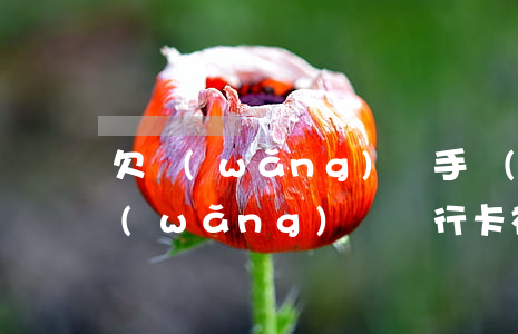 欠網(wǎng)貸手機(jī)被鎖(欠網(wǎng)貸銀行卡被鎖定)