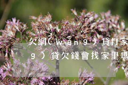 欠網(wǎng)貸打家里去了(網(wǎng)貸欠錢會找家里嗎)