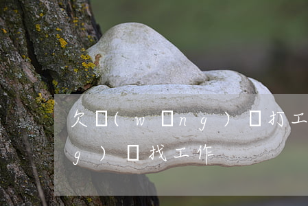 欠網(wǎng)貸打工還貸(欠網(wǎng)貸找工作)