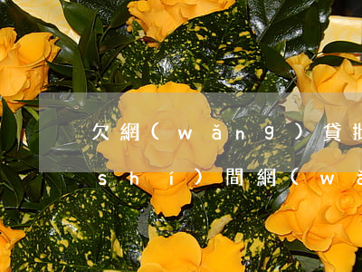 欠網(wǎng)貸批量開庭大概多久時(shí)間(網(wǎng)貸立案到開庭一般多久)