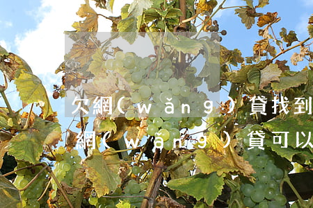 欠網(wǎng)貸找到公司了要報警嗎(欠網(wǎng)貸可以報警嗎)