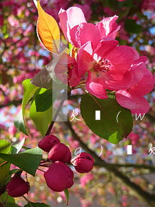 欠網(wǎng)貸找父母坦白(網(wǎng)貸欠款怎么和家人坦白)