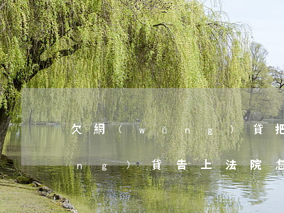 欠網(wǎng)貸把我告上法院(網(wǎng)貸告上法院怎么處理)