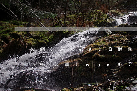 欠網(wǎng)貸把我銀行卡凍結(jié)(欠網(wǎng)貸把我銀行卡凍結(jié))