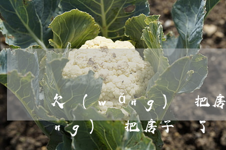 欠網(wǎng)貸把房子賣了(欠網(wǎng)貸把房子賣了)