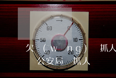 欠網(wǎng)貸抓人(欠網(wǎng)貸公安局會抓人嗎)