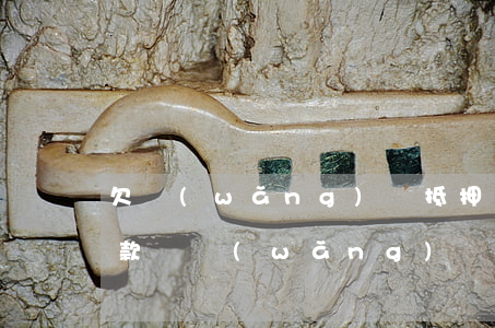 欠網(wǎng)貸抵押房子還(房屋抵押貸款還網(wǎng)貸)