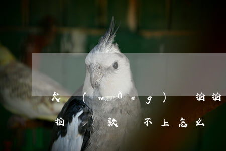 欠網(wǎng)貸拍拍貸還不上怎么辦(拍拍貸還款還不上怎么辦)
