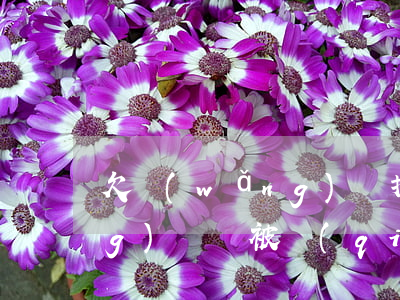 欠網(wǎng)貸拍賣房子(欠網(wǎng)貸會被強(qiáng)制執(zhí)行拍賣房屋)