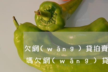 欠網(wǎng)貸拍賣房產(chǎn)嗎(欠網(wǎng)貸會拍賣按揭房嗎)