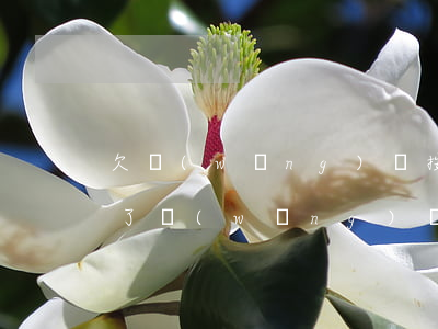 欠網(wǎng)貸按揭房可以再貸款嗎(欠了網(wǎng)貸可以按揭買房嗎)