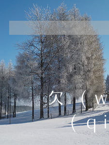 欠網(wǎng)貸按揭房會(huì)被強(qiáng)制執(zhí)行嗎(欠網(wǎng)貸房子會(huì)被執(zhí)行嗎)
