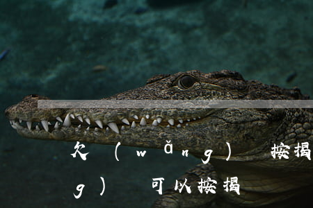 欠網(wǎng)貸按揭買車(欠網(wǎng)貸可以按揭買車嗎)
