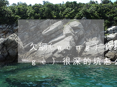 欠網(wǎng)貸掉進(jìn)一個(gè)很深的坑怎么辦-