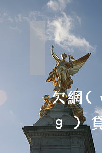 欠網(wǎng)貸接到律師函(網(wǎng)貸收到律師函多久會起訴)