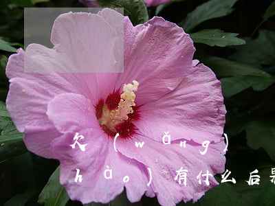 欠網(wǎng)貸換了手機(jī)號(hào)有什么后果(欠了網(wǎng)貸換了手機(jī)號(hào)碼)