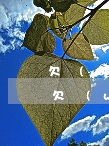 欠網(wǎng)貸換了號碼怎么還能找到(欠網(wǎng)貸換號了還能找到嗎)