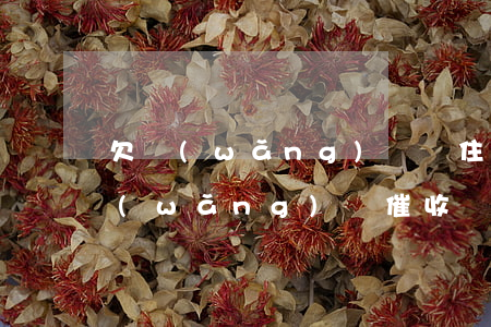 欠網(wǎng)貸換住址 催收能找到嗎(網(wǎng)貸催收戶籍地址居住地址)