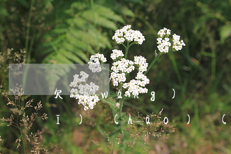 欠網(wǎng)貸換個(gè)手機(jī)號(hào)(網(wǎng)貸還清后換手機(jī)號(hào))