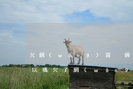 欠網(wǎng)貸換個手機(jī)號可以嗎(欠了網(wǎng)貸換了手機(jī)號碼)