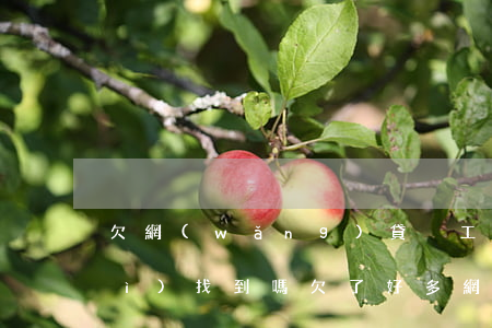 欠網(wǎng)貸換工作后社保會(huì)找到嗎(欠了好多網(wǎng)貸要不要買社保)