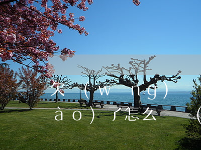欠網(wǎng)貸換手機(jī)號(hào)了怎么還(網(wǎng)貸欠款換手機(jī)號(hào)有用嗎)