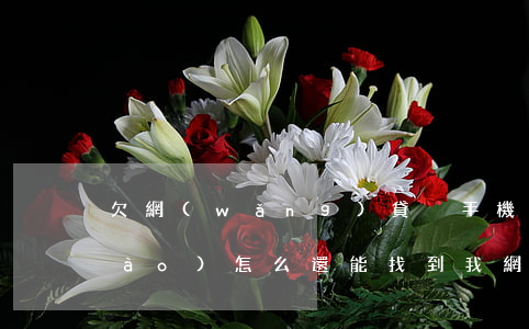 欠網(wǎng)貸換手機(jī)號(hào)怎么還能找到我(網(wǎng)貸手機(jī)號(hào)換了怎么找到我還款)