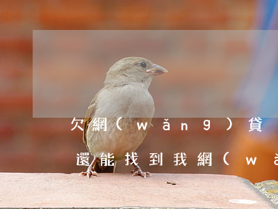 欠網(wǎng)貸換手機(jī)號怎么還能找到我(網(wǎng)貸手機(jī)號換了怎么找到我還款)
