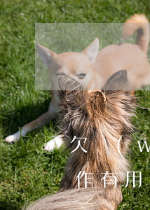 欠網(wǎng)貸換號(hào)碼換工作有用嗎(欠網(wǎng)貸換電話號(hào)碼有用嗎)