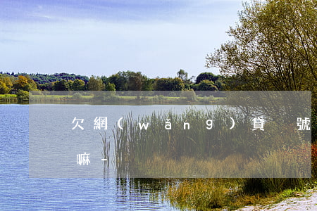 欠網(wǎng)貸換號碼就可以不用還錢嘛-