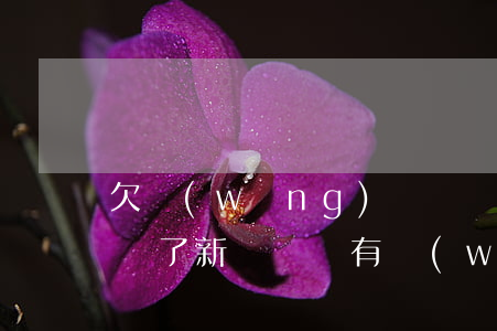 欠網(wǎng)貸換號碼會被上門催收嗎(辦了新號碼總有網(wǎng)貸催債)