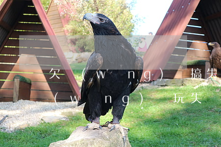 欠網(wǎng)貸搞失蹤不還會怎樣(欠網(wǎng)貸玩失蹤會找到嗎)