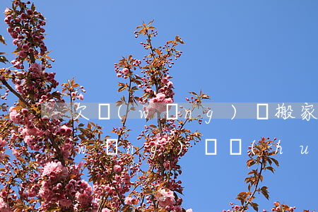 欠網(wǎng)貸搬家還能找到嗎(欠網(wǎng)貸會(huì)來(lái)家里找嗎)