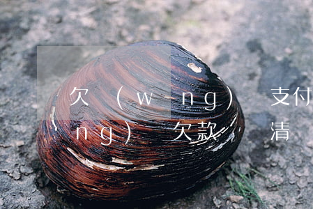 欠網(wǎng)貸支付寶扣款嗎(網(wǎng)貸欠款沒還清凍結(jié)支付寶)