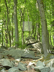 欠網(wǎng)貸支付寶會(huì)被凍結(jié)嗎(欠網(wǎng)貸名下支付寶被凍結(jié))