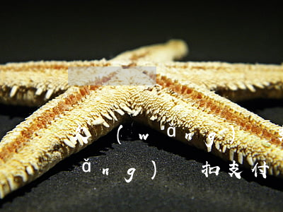欠網(wǎng)貸支付寶自動扣款(網(wǎng)貸扣支付寶余額)