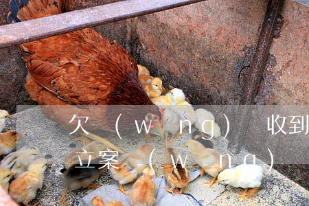 欠網(wǎng)貸收到1069的短信已立案(網(wǎng)貸逾期收到1069開(kāi)頭的短信)
