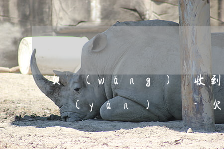 欠網(wǎng)貸收到12368的短信驗(yàn)證碼-欠網(wǎng)貸收到12368的短信驗(yàn)證碼是真的嗎